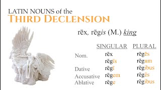 3rd Declension Nouns [upl. by Airun]