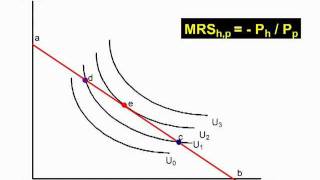 The budget line and equilibrium [upl. by Mcgregor]