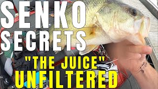 SENKO Bass Fishing Secrets  2024 MLF Toyota Lake Champlain [upl. by Amsirac]