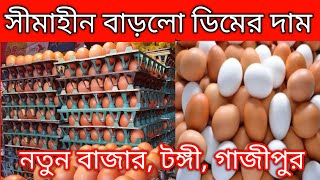 21052024 আজকে ডিমের দাম কত জানুন egg price in Bangladesh TodayBichitra Tv 20 [upl. by Gaulin]