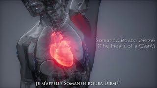 The sound of Heart of a Giants heart with the HeartMate3 LVAD [upl. by Cavill]