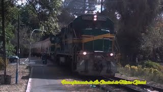 Ferrovalle EMDGE SW1504B237 88332104 en Tacuba 1 [upl. by Anelrihs]