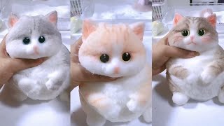 quotKitten collectionquotcat squishy squishable cute cutecat [upl. by Mell]