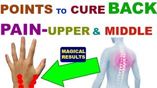 Sujok Therapy For Back Pain UPPER amp MIDDLE BACK PAIN  Acupressure Points For Back Pain In Hindi [upl. by Gristede505]