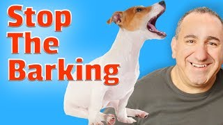 How to stop my dogs barking permanently [upl. by Patin213]