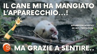 Il cane ha addentato il mio apparecchio acustico [upl. by Llenna]