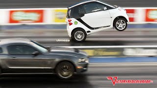 WILD WHEELSTANDING BLOWN SMART CAR GIVES SHELBY MUSTANG A SCARE [upl. by Atinoj]