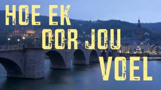 Dewald Wasserfall  Ek en Jy Liriekvideo [upl. by Dinnie]