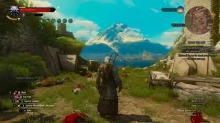 The Witcher 3  Preparation and Bandit Stronghold [upl. by Hassett840]