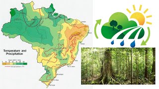 Landschap klimaat en vegetatie van Brazilië [upl. by Prussian]