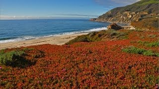 quotThe California Coastquot w Music 1 HR HEALING Nature Relaxation Video w Music 1080p [upl. by Notniuqal]