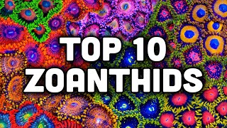 Top 10 Zoanthids from TSA [upl. by Fransen]