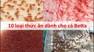 10 loại thức ăn dành cho cá Betta [upl. by Hardwick619]