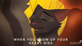 When You Grow Up Your Heart Dies  MAP Part Ravenpaw Firepaw and Graypaw [upl. by Pietra]