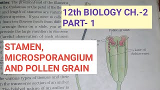 Class 12 biology chapter2 Part1 sexual rep in flower plantsStamensStudy with Farru [upl. by Asssilem]