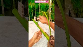 Senjata bambu ‼️ bamboo funny diy [upl. by Ahsimat815]