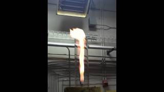 Nonpremixed coaxial jet flame [upl. by Flatto]