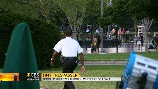 Toddler squeezes through White House fence in security breach [upl. by Tlevesor]