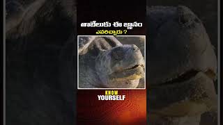 తాబేలుకు ఈ జ్ఞానం ఎవరిచ్చారు  Maitreya Channel [upl. by Yarazed]