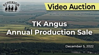 TK Angus Annual Production Sale [upl. by Ahseenyt]