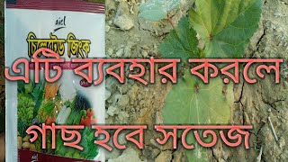 গাছ কে সতেজ রাখুন চিলেটেড জিংক ব্যবহার করে Chelated zinc  the village agro [upl. by Aurlie]