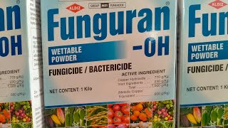 How To Apply Funguran OH Copper Hydroxide Fungicide [upl. by Eselrahc]