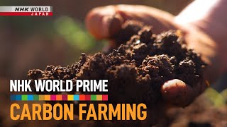 Carbon Farming A Climate Solution Under Our Feet  NHK WORLD PRIME [upl. by Alael]