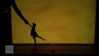 Shadowland by Pilobolus The Transformation [upl. by Nosac]