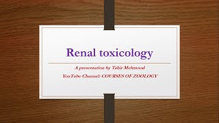 Renal Toxicologyeffect on toxicants on kidney [upl. by Carder]