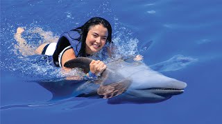 Swim with Dolphins amp Sea Lions in Puerto Vallarta  Vallarta Adventures® [upl. by Astraea]