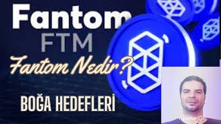 FTM Fantom Coin Nedir Son Durumu Boğa Hedefleri İncelemesi Analizi Geleceği Yorumlar [upl. by Nahtal]