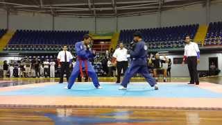 Campeonato Nacional JiuJitsu Tradicional 2013 Final [upl. by Sholley31]