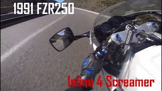 1991 FZR250 250 Inline 4 screamer Rimutakas [upl. by Nosredneh]