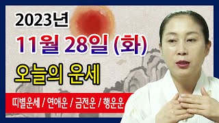 오늘의 운세 2023년 11월 28일 화요일 오늘의운세 띠별운세 운세·사주·신점·실제점사·안산 용한무당·유명한점집 [upl. by Sadirah]