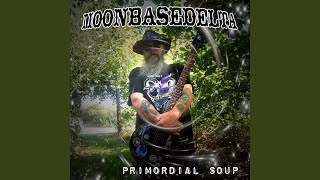 Primordial Soup [upl. by Reinnej]