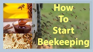 Beekeeping How To Start Beekeeping In 2024 [upl. by Clarabelle807]