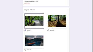 Votar un concurso de fotografía con google forms [upl. by Mulford]