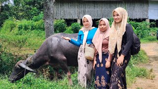 LIVE AKTIVITAS GADIS DAN JANDA DI SAWAH [upl. by Marcus]