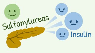 Mechanism of Action of Sulfonylureas and Meglitinide Analogs [upl. by Ravid]
