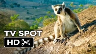 Island of Lemurs Madagascar TV SPOT 1 2014  Nature Documentary HD [upl. by Acillegna]