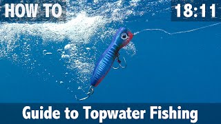 Guide to Topwater Fishing [upl. by Eidassac564]