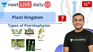 NEET Plant Kingdom  L7  Pteridophytes  Class 11  Live Daily 20  Unacademy NEET  Pradeep Sir [upl. by Casady528]