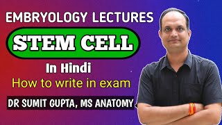 STEM CELL  How to write answer in exam [upl. by Strickman]