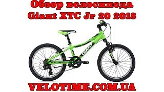 Обзор велосипеда Giant XTC Jr 20 2018 [upl. by Aicirtam]