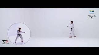 Taekwondo New Kukkiwon Poomsae 05 Bigak  Flying Kick 비각 1830 [upl. by Lavotsirc]