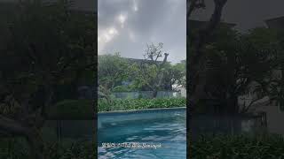 알릴라 스미냑 Alila Seminyak [upl. by Lavelle]