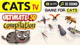 CAT TV  ULTIMATE 3D compilation 🪰🐭🐞 for CATS 😻 4K 3 HOURS [upl. by Jeri]