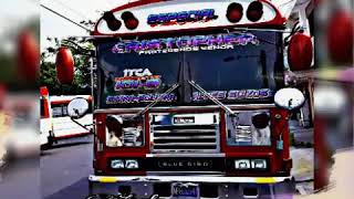 Buses y microbuses de el salvador 🔥 [upl. by Ettenhoj]