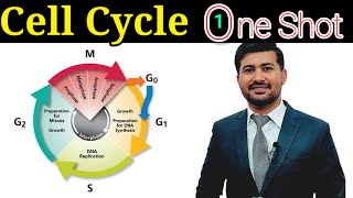 Cell cycle chapter 19 Fsc biology class 12 in one shot [upl. by Dyanna520]