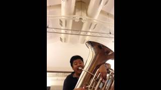 【オケスタ】Tuba Excerpt Ride of the Valkyries【必聴！？】 [upl. by Jenelle194]